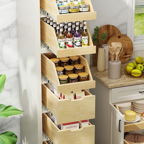 HOUSE AGAIN Pull Down Kitchen Cabinet Organizer, Drop Down Spice Rack Easy  Reach for Pantry/Cabinet/Cupboard, Sliding Out Storage Basket for Upper