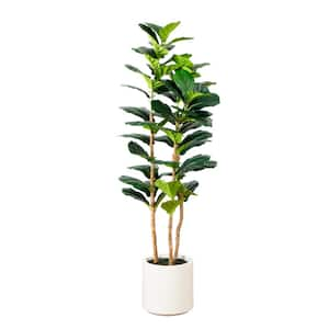 5 ft. Artificial Fiddle Leaf Tree in Decorative White Planter