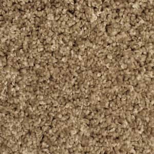 Pioneer - Prairie Dance - Brown 73.5 oz. SD Polyester Texture Installed Carpet