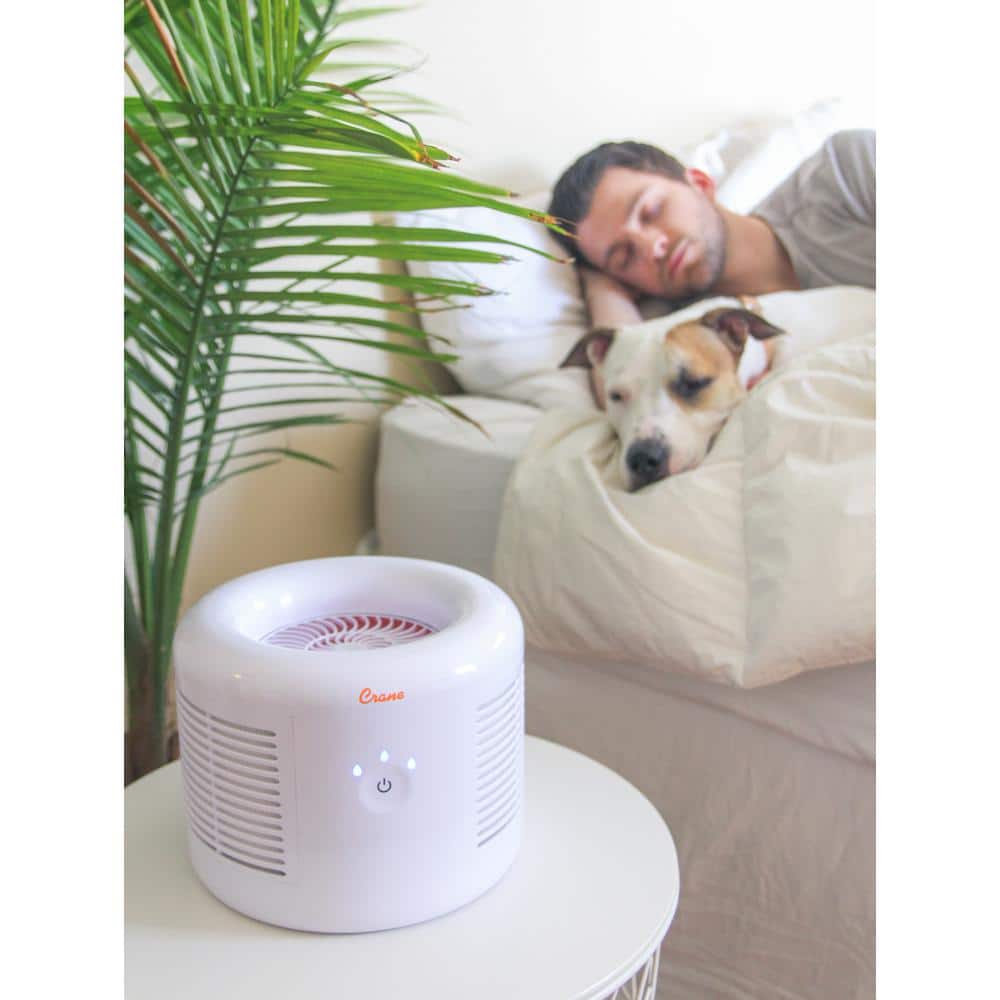 Compact White HEPA Table-Top Air Purifier with Touch Controls