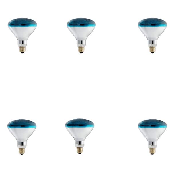 Philips 100-Watt PAR38 Incandescent Autism Speaks Blue Flood Light Bulb (6-Pack)