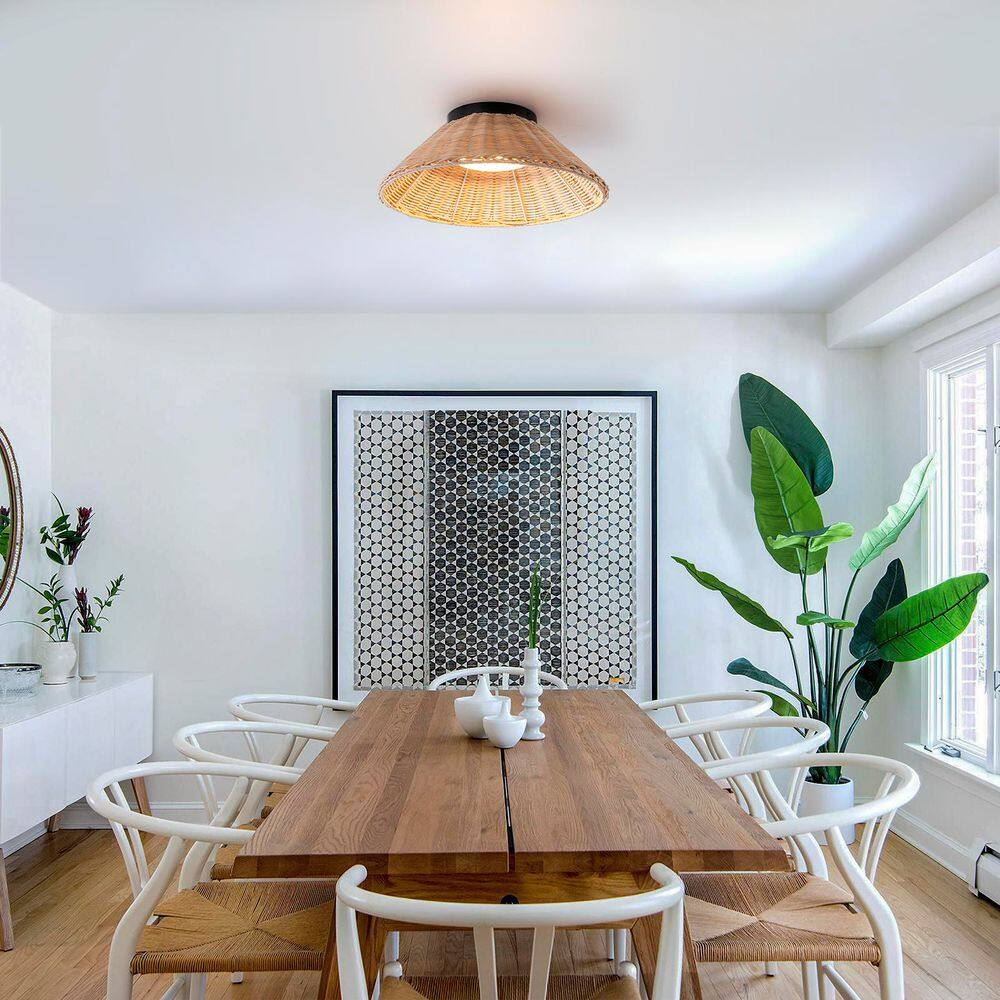 Carter 13.4 in. 1-Light Integrated LED Rattan Flush Mount Ceiling Light price history on PriceWatchPro
