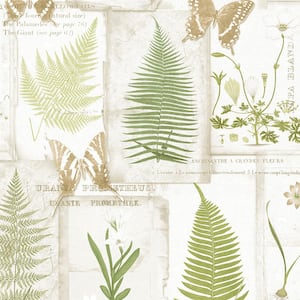 Parchment Ferns Vinyl Strippable Roll (Covers 56 sq. ft.)