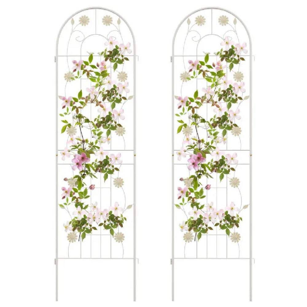 (2 Pack) 71 x 20 in. Metal Garden Trellis Rustproof Plant Support for Climb