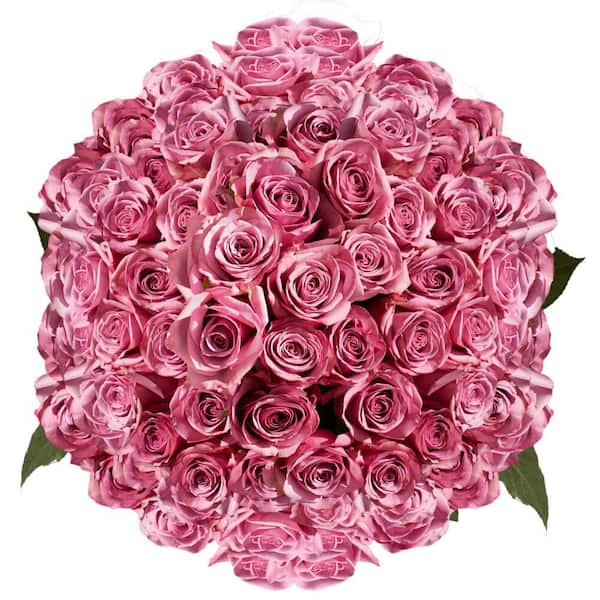 Globalrose 200 Stems of Assorted Lavender Roses- Fresh Flower Delivery ...