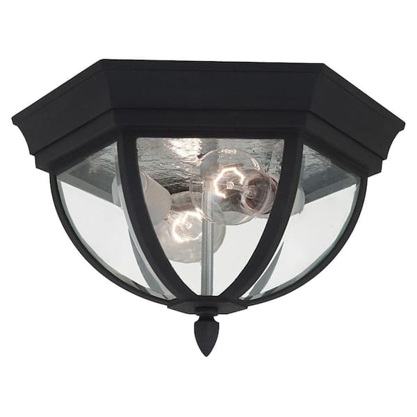 Generation Lighting Wynfield 2-Light Black Outdoor Ceiling Fixture