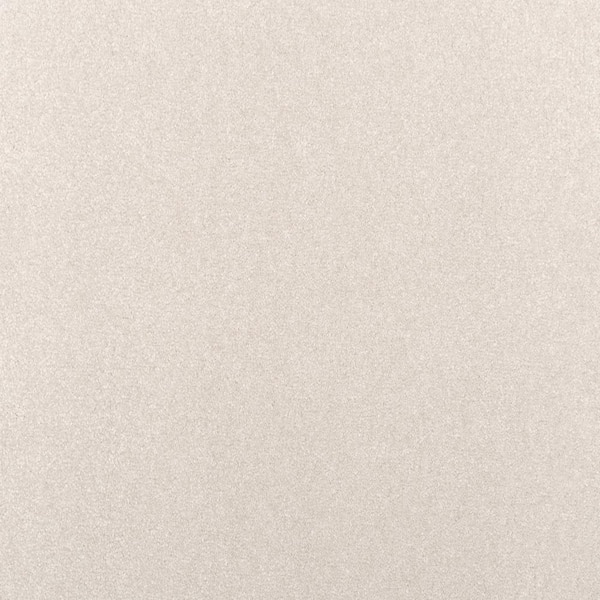 Lifeproof with Petproof Technology Waking Up I Pillow Case Gray 37 oz. Triexta Textured Carpet - Installation Required