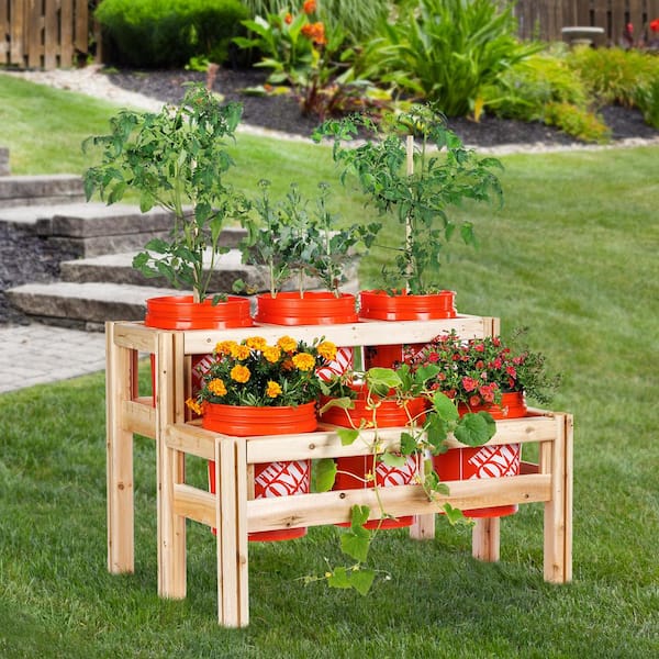 43 in. x 30 in. x 30 in. 2-Tiers 6-Bucket Elevated Unfinished Wood Cedar Garden Frame Raised Beds