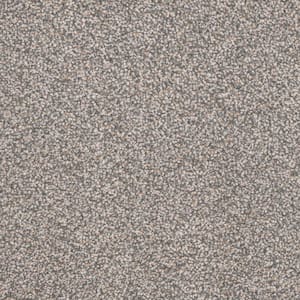Gilbert Park I - Colonial - Beige 48 oz. Polyester Texture Installed Carpet