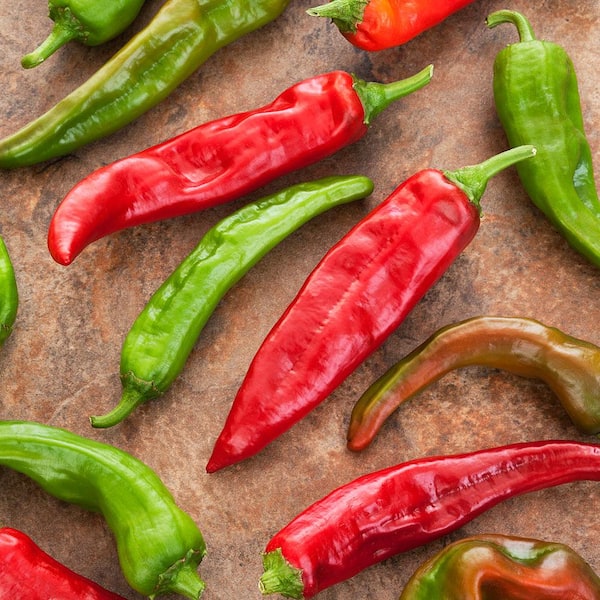Bonnie Plants 19 oz. Sandia Hot Pepper Plant