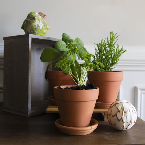 4.25 in. Small Terra Cotta Clay Pot