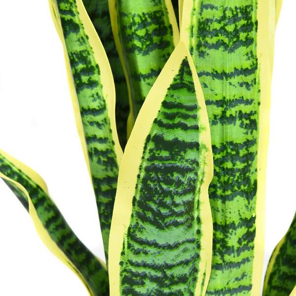Artificial Snake Plant Fake Sansevieria Tree With 32 Leaves - Temu