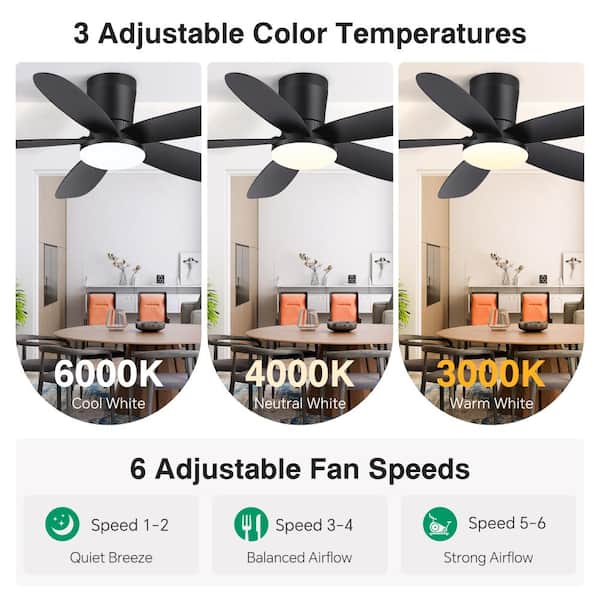 Flashwind Walshy 42 in. Indoor Black Flush Mount Ceiling fan with