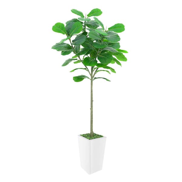 HOMEIBRO 6 ft. Artificial Fiddle Leaf Fig Tree in Pot Ideal for Home Decor and Housewarming Gift