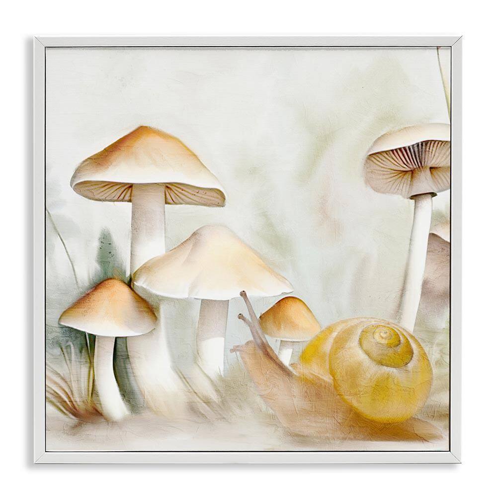 Snail and Natural Mushrooms by Kim Allen White Framed Nature Giclee Art Print 24 in. x 24 in. price history on PriceWatchPro