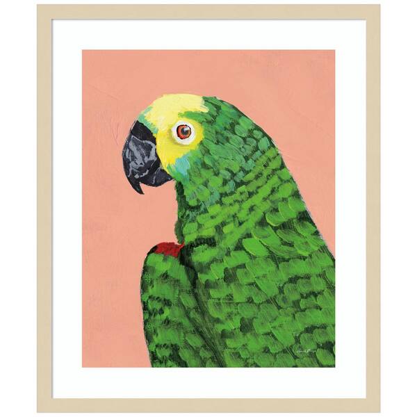 Oprør Brød konkurrence Amanti Art "Parrot Head" by Pamela Munger 1-Piece Wood Framed Giclee Animal  Art Print 21 in. x 25 in. A38865522083 - The Home Depot