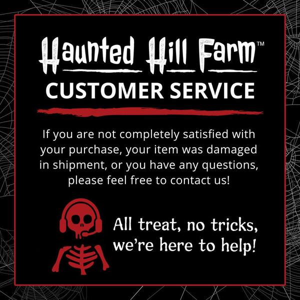 https://images.thdstatic.com/productImages/717745a2-020f-420b-96e3-415745f3c817/svn/haunted-hill-farm-halloween-yard-decorations-hhghst-10hls-1d_600.jpg