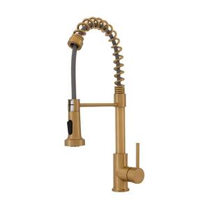 Pasha Single Handle Pull-Down Sprayer Kitchen Faucet in Brass