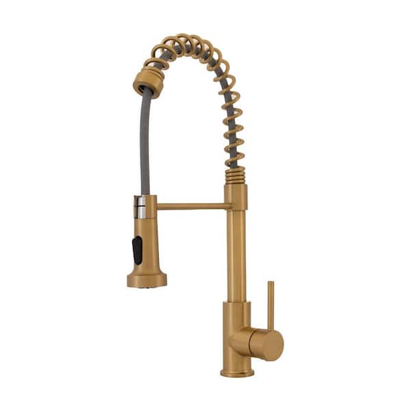 Pasha Single Handle Pull-Down Sprayer Kitchen Faucet in Brass