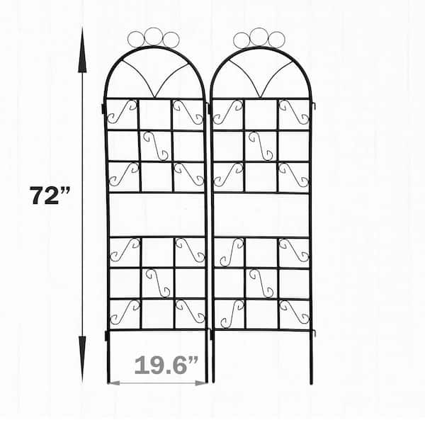 Unbranded - 72 in. x 19.6 in. Black Iron Garden Trellis Rustproof Trellis for Climbing Plants (2-Pack)