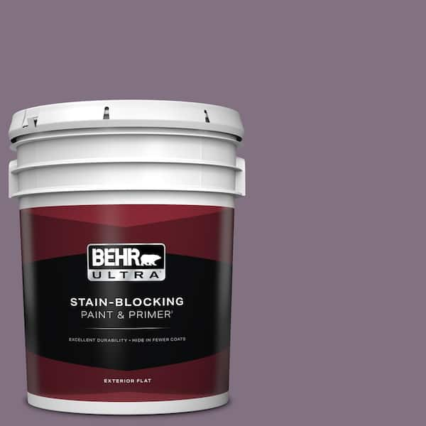 BEHR ULTRA 5 gal. Home Decorators Collection #HDC-SP14-9 Decorative Iris Flat Exterior Paint & Primer