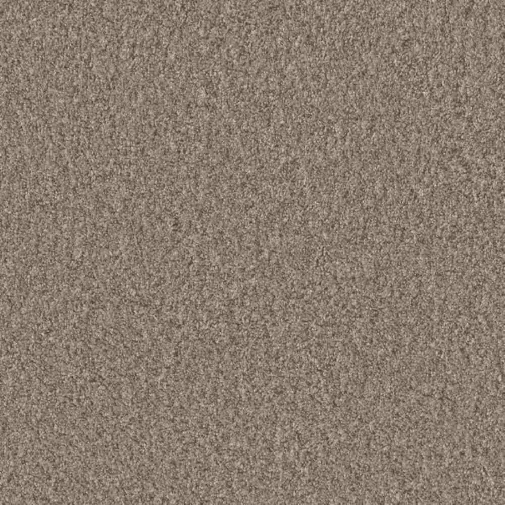 8 in. x 8 in. Texture Carpet Sample-Manuscript III-Color Publish price history on PriceWatchPro
