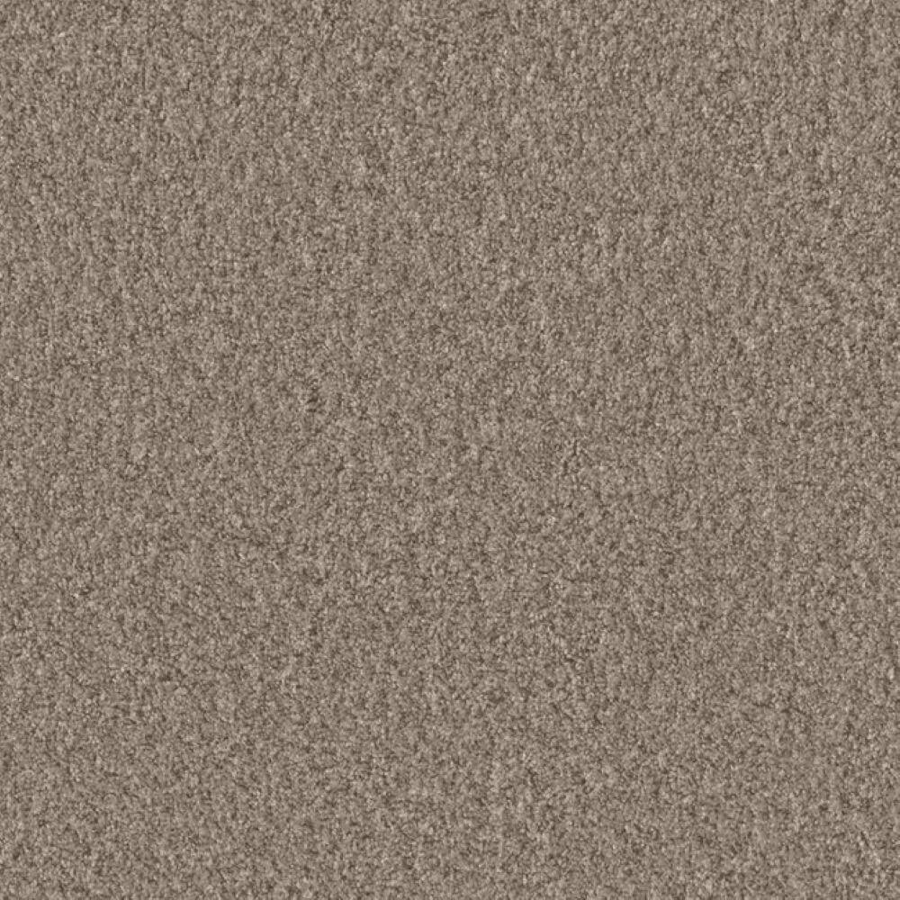 8 in. x 8 in. Texture Carpet Sample-Manuscript I-Color Publish price history on PriceWatchPro