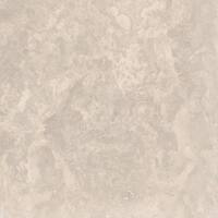 Platinum 18 in. x 18 in. Honed Travertine Floor and Wall Tile (9 sq. ft./Case)