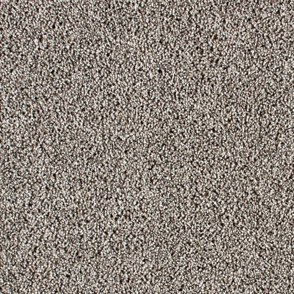 8 in. x 8 in. Texture Carpet Sample - Huntcliff II -Color Cloudmist price history on PriceWatchPro