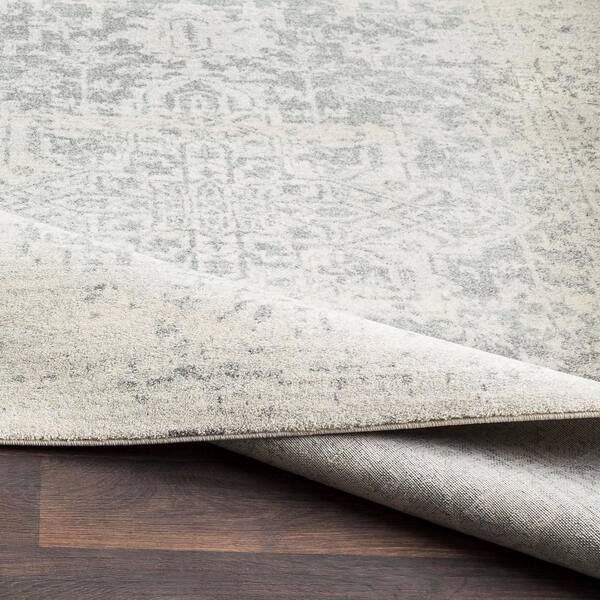 Artistic Weavers Demeter Ivory 3 ft. 11 in. x 5 ft. 7 in. Area Rug  S00151066942 - The Home Depot