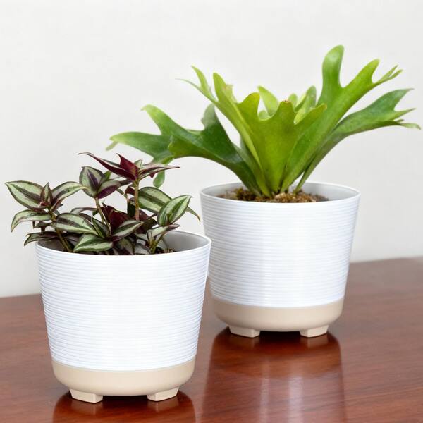 Lark & Vine Wallula White Resin Round Planter Set with Drainage