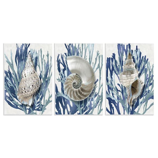 Trio of Shells and Coral by Caroline Kelly 3 Piece Unframed Graphic Art Print Coastal 15 in. x 10 in.