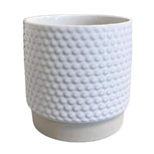 3.1 in. Clio Bubbled Small White Ceramic Planter (3.1 in. D x 3 in. H)