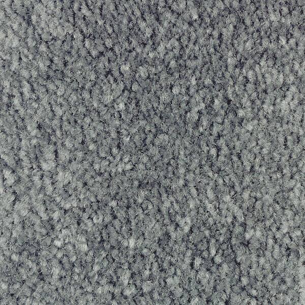 Lifeproof 8 in. x 8 in. Texture Carpet Sample - Mason II -Color Baltic