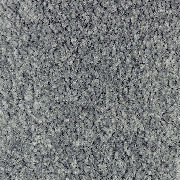 Lifeproof Mason II  - Baltic - Blue 54 oz. Triexta Texture Installed Carpet