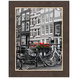 Lined Bronze Picture Frame Opening Size 18 x 24 in.