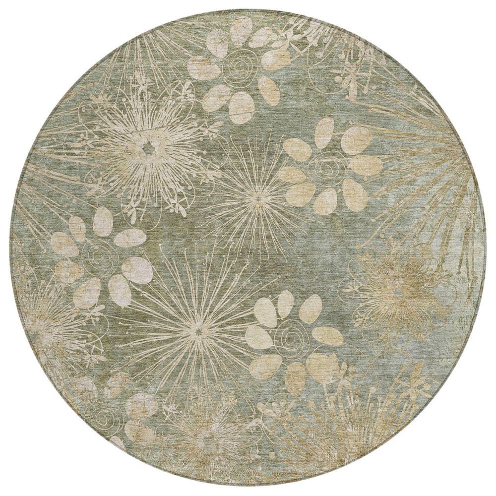 Chantille Machine Washable Indoor/Outdoor Abstract ACN2225 Sage 8 ft. x 8 ft. Area Rug price history on PriceWatchPro