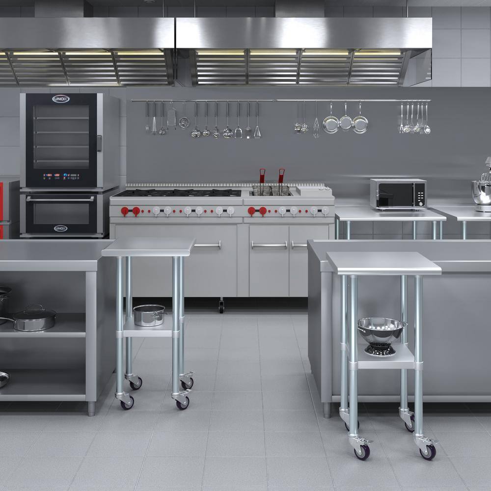 20" Stainless Steel Work Table with Galvanized Undershelf and Casters