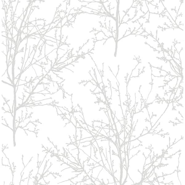 Botanicals - Birch Branches