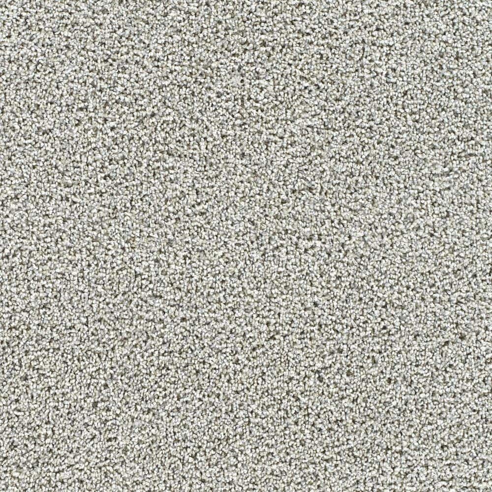 8 in. x 8 in. Texture Carpet Sample-Easel-Color Gallery price history on PriceWatchPro