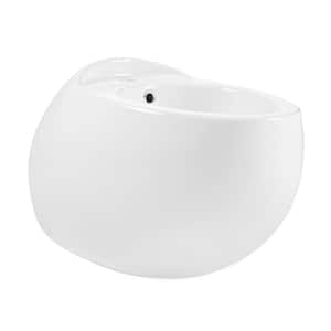 Plaisir Wall-Hung Elongated Bidet Bowl in Glossy White