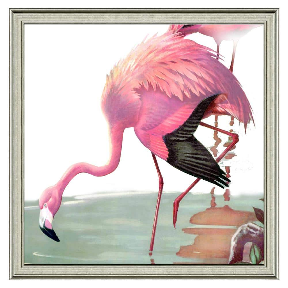 Pink Flamingo Framed On Canvas by Stanley Print House Print