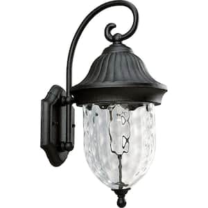 Coventry Collection 1-Light Textured Black Hammered Glass Traditional Outdoor Hanging Lantern Light