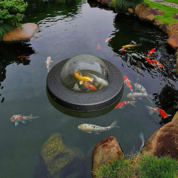 Gardenised Floating Plastic Pond Fish Dome Ball for Fish to Swim Above the Surface of the Pond, Easy Assembly QI004664 Gardenised Floating Plastic Pond Fish Dome Ball for Fish to Swim Above the Surface of the Pond, Easy Assembly QI004664