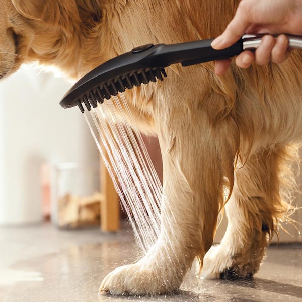Hansgrohe Dog Shower 3-Spray Patterns 1.75 GPM 30 in. Wall Mount