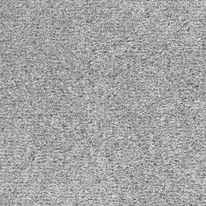 8 in. x  8 in. Texture Carpet Sample - Port Abigail II -Color Wake