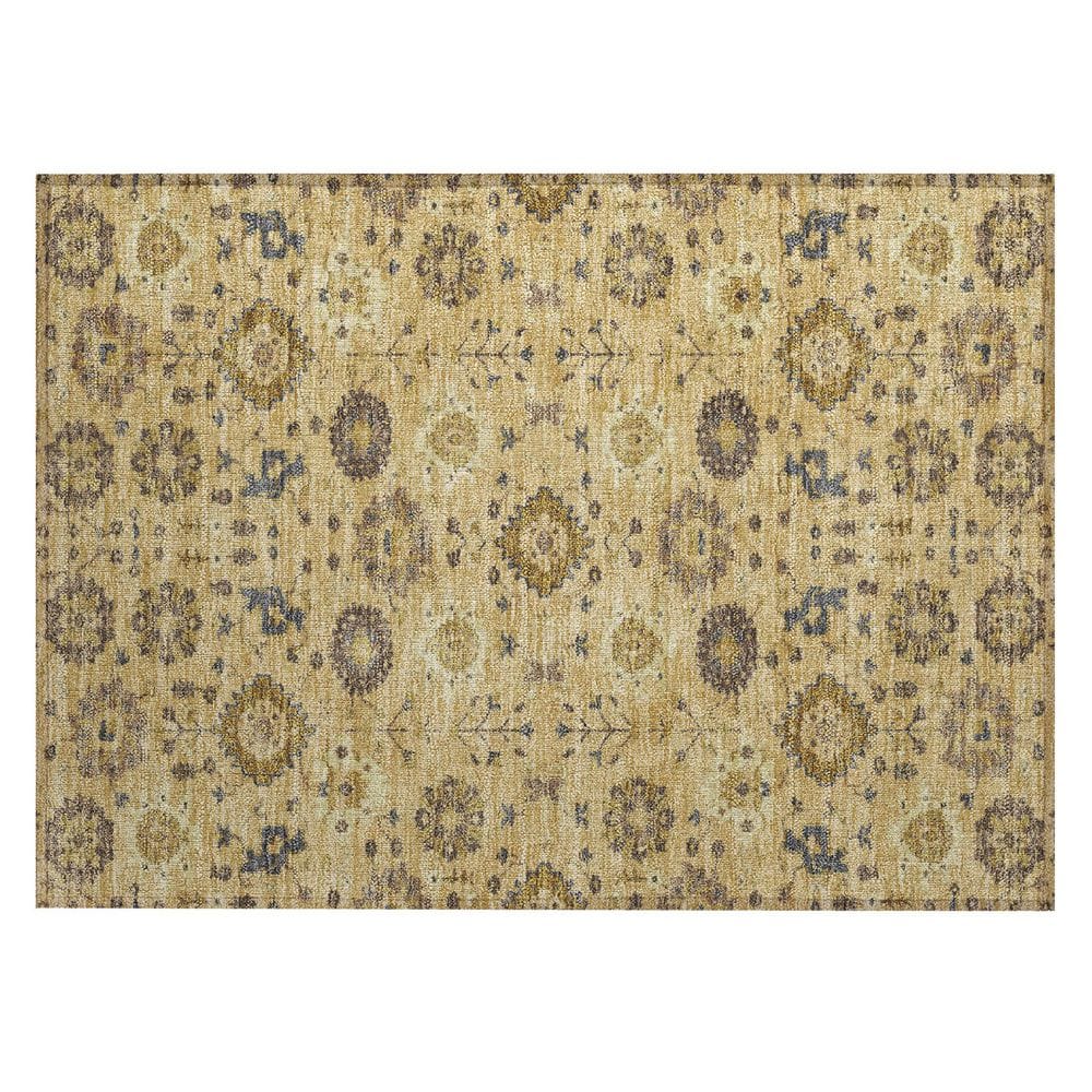 Chantille Machine Washable Indoor/Outdoor Abstract ACN2610 Gold 2 ft. x 3 ft. Accent Rug price history on PriceWatchPro