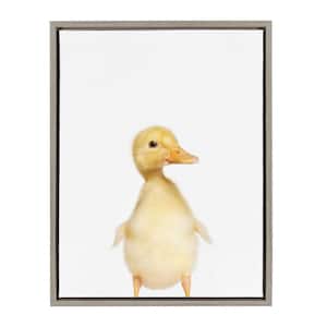 Sylvie "Animal Studio Duck" by Amy Peterson Framed Canvas Wall Art