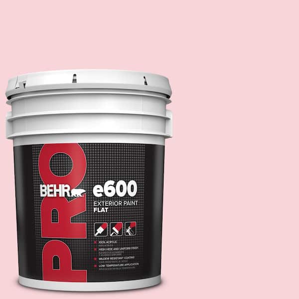 BEHR PRO 5 gal. #120A-3 Lovelight Flat Exterior Paint