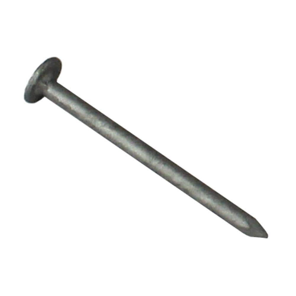 1-1/2 in. Zinc-Plated Common Nails (75-Pack) price history on PriceWatchPro